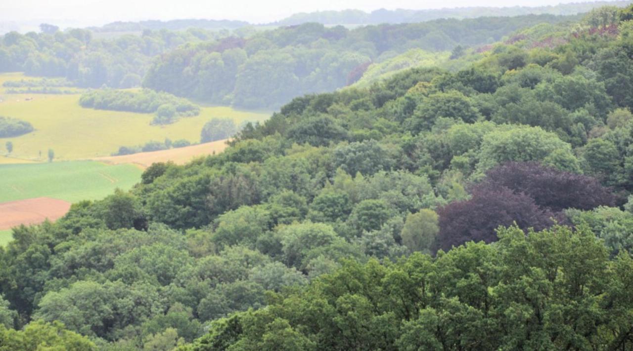 De La Ruine Bed and Breakfast Valkenburg aan de Geul Εξωτερικό φωτογραφία